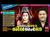 Hindu Devotional Songs Malayalam | ശംഭോ ശിവ ശംഭോ | Shiva Devotional Songs Malayalam