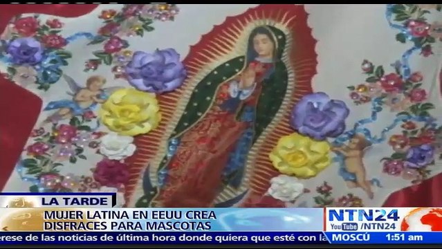 Original: Talentosa diseñadora de origen latino realiza creativos disfraces para mascotas en EE. UU.