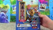 PAW PATROL Sports Day Challenge BOARD GAME with PAW PATROL ALL STAR PUPS! Nickelodeon Fun Games