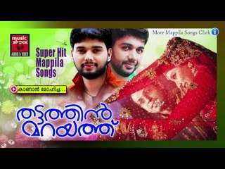 കാണാൻ മോഹിച്ച....Malayalam Mappila Pattukal | Thattathin Marayathu | Malayalam Mappila Songs