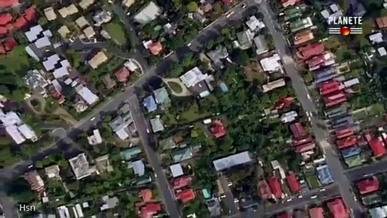 Ants Documentary Channel Des Fourmis Tueuses Français