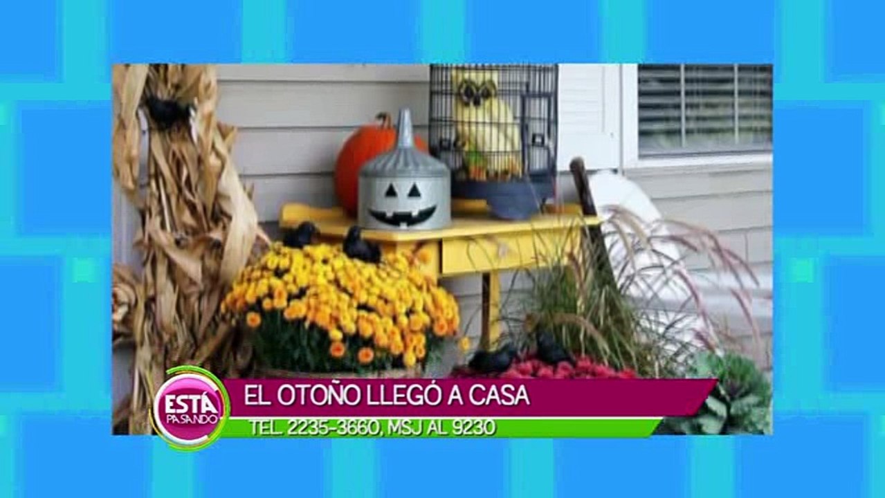 El otoño llego a casa