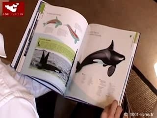 Dans le sillage des orques - livre