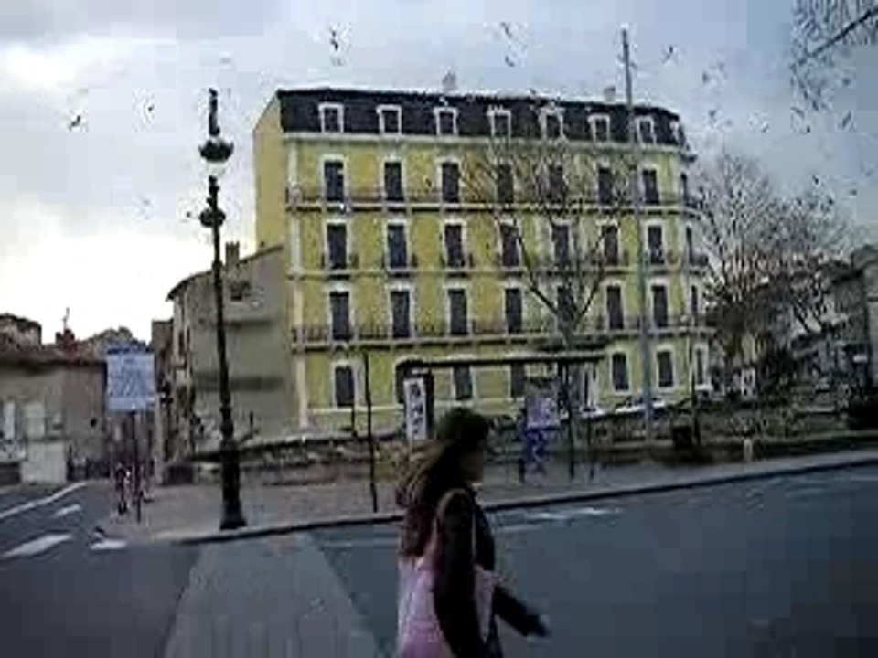 oiseaux fou