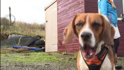 Cinq habitants tentent d'acheter leur île en Ecosse