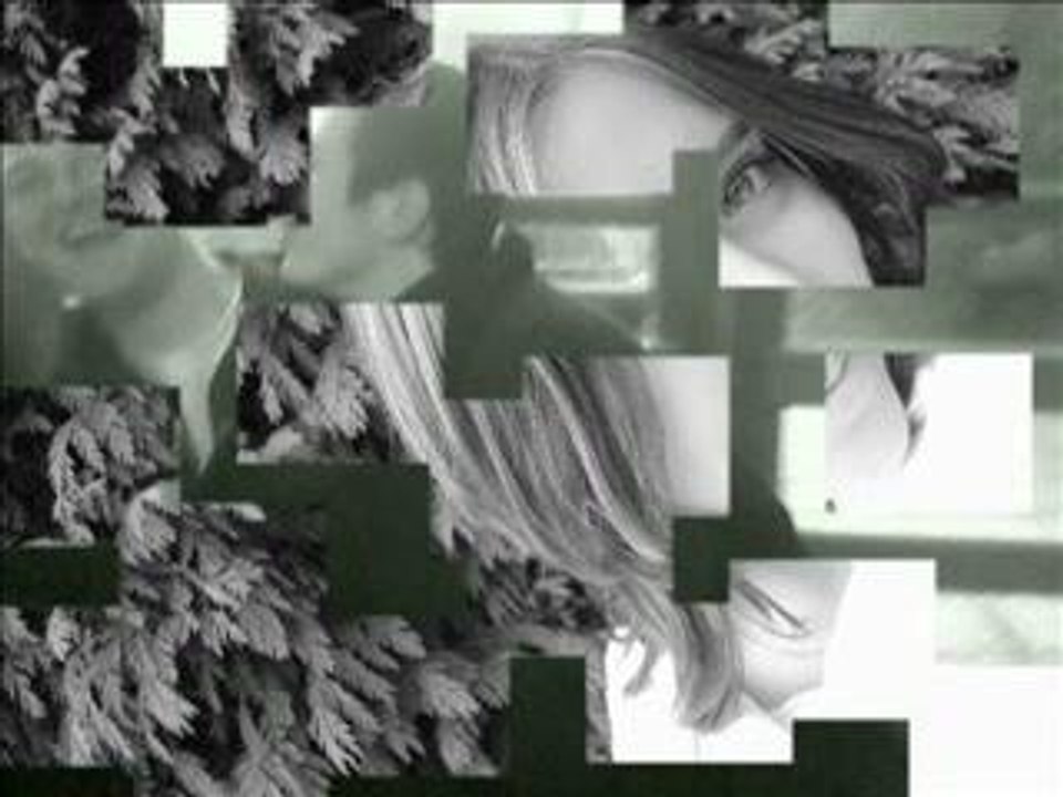 Clip amitié