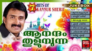 Malayalam Super Hit Mappila Songs 2017 | ആനന്ദം തുളുമ്പുന്ന | Mappila Album Songs New 2017