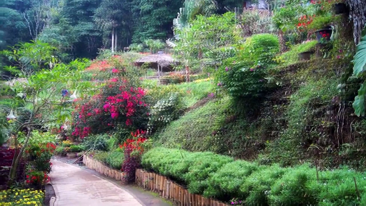 ENTRUST TEFL (Chiang Mai & Krabi)