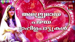 അമൂല്യമായ പഴയ മാപ്പിള പാട്ടുകൾ | Old Is Gold Malayalam Mappila Songs | Pazhaya Mappila Pattukal