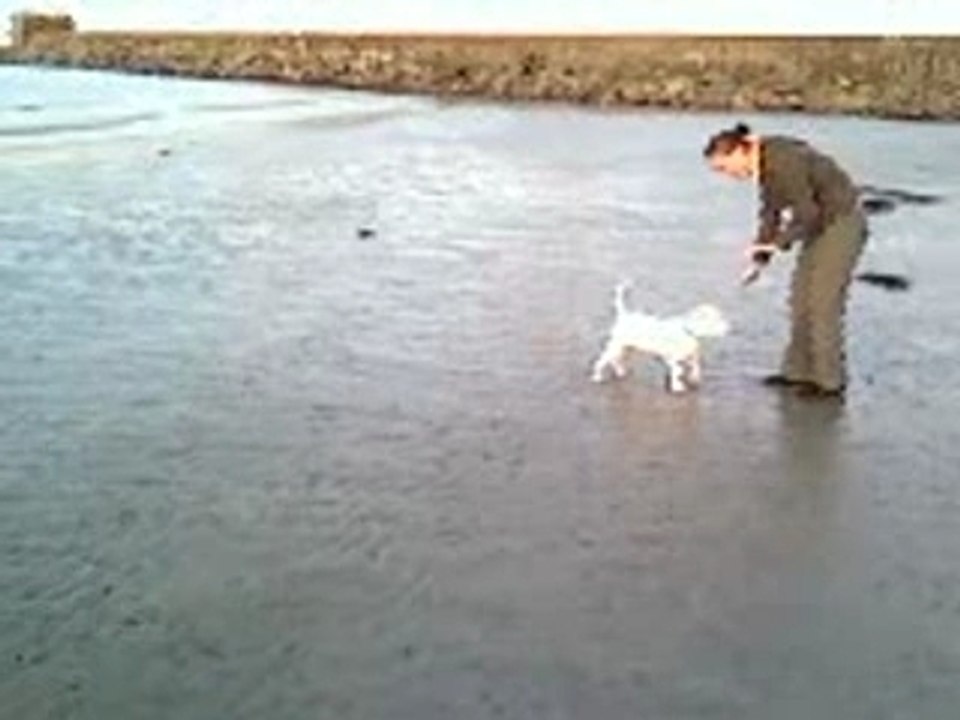 lucile et cayson collignon