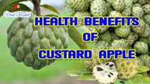 Best Benefits of custard apple in Telugu