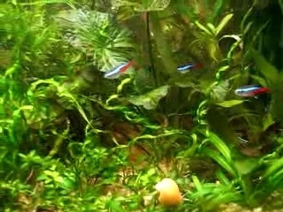 100L