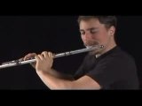 Beatboxing flute super mario brothers theme