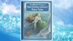 Download PDF An Illustrated Treasury of Hans Christian Andersen's Fairy Tales: The Little Mermaid, Thumbelina, the Princess and the Pea and Many More Classic Stories FREE