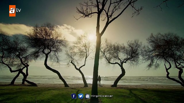 Kırgın Çiçekler 29.Bölüm - Cemre İntihar Ediyor !