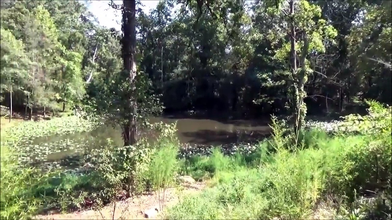 The Clowns Den - Abandoned House Allegedly full of Clowns