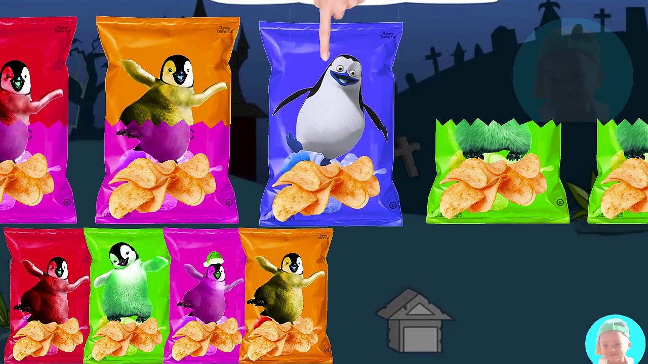 Learn color for kids Happy Feet Bryan the Beach Master Atticus Leopard seal