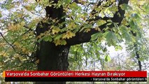 Varşova'da Sonbahar Görüntüleri Herkesi Hayran Bırakıyor