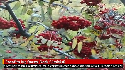Posof'ta Kış Öncesi Renk Cümbüşü