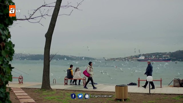 Kırgın Çiçekler 31.Bölüm - Güney’in Songül Aşkı !