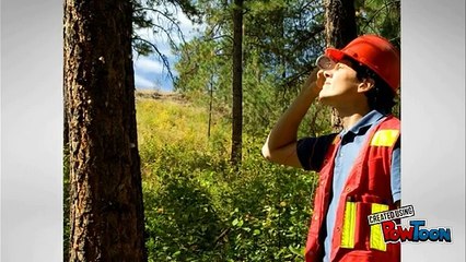 Important Safety Tips When Using Your Tree Lounge Stand