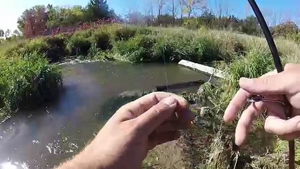 Fishing a TINY Creek w/ NASTY Bait!!!