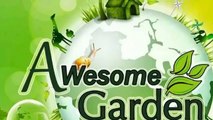 How to grow Gandhraj care and tips || gardenia (organism classification)