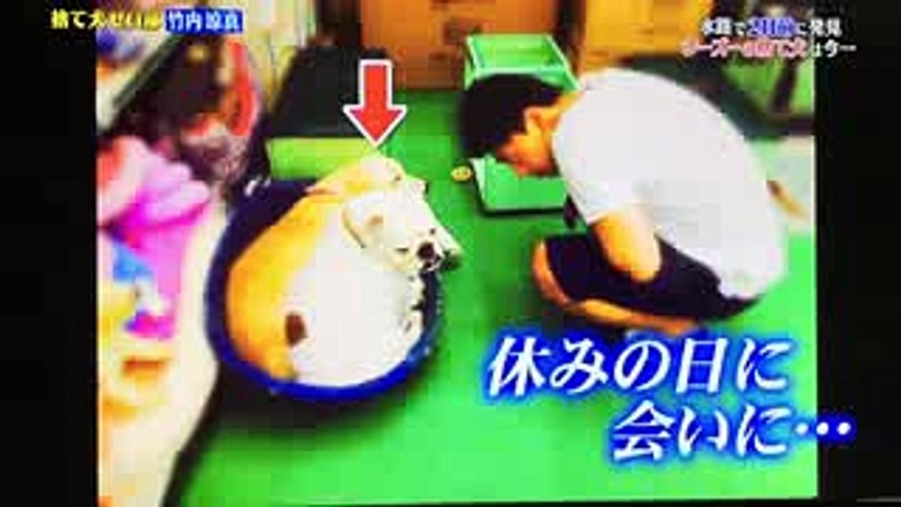 竹内涼真「捨て犬ゼロ部ワンっワンっ‼︎」【志村どうぶつ園】92