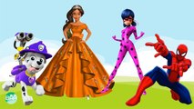 Baby Learn Colors with Wrong Colors Buglady, Elena of Avalor, Spiderman, Paw Patrol, Videos for Kids