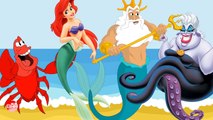 Wrong Heads The Little Mermaid - Princess Ariel, Ursula, Sebastian, King Triton