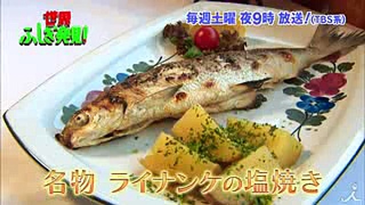 宮地眞理子がオーストリアを大満喫☆料理! サウナ!! 大自然!!!『世界ふしぎ発見!』 819...