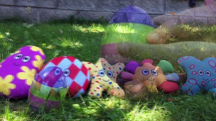 HAAHOOS Toys Easter Egg Surprise Outdoors!-b7P16yC0ng0