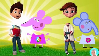 Peppa Mouse Wrong Heads Ryder Paw Patrol Tim Baby Boss Gummy bear Baby Finger Family Song Learn Colo