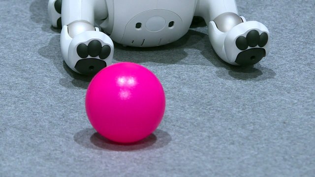 Sony revives robot pet dog