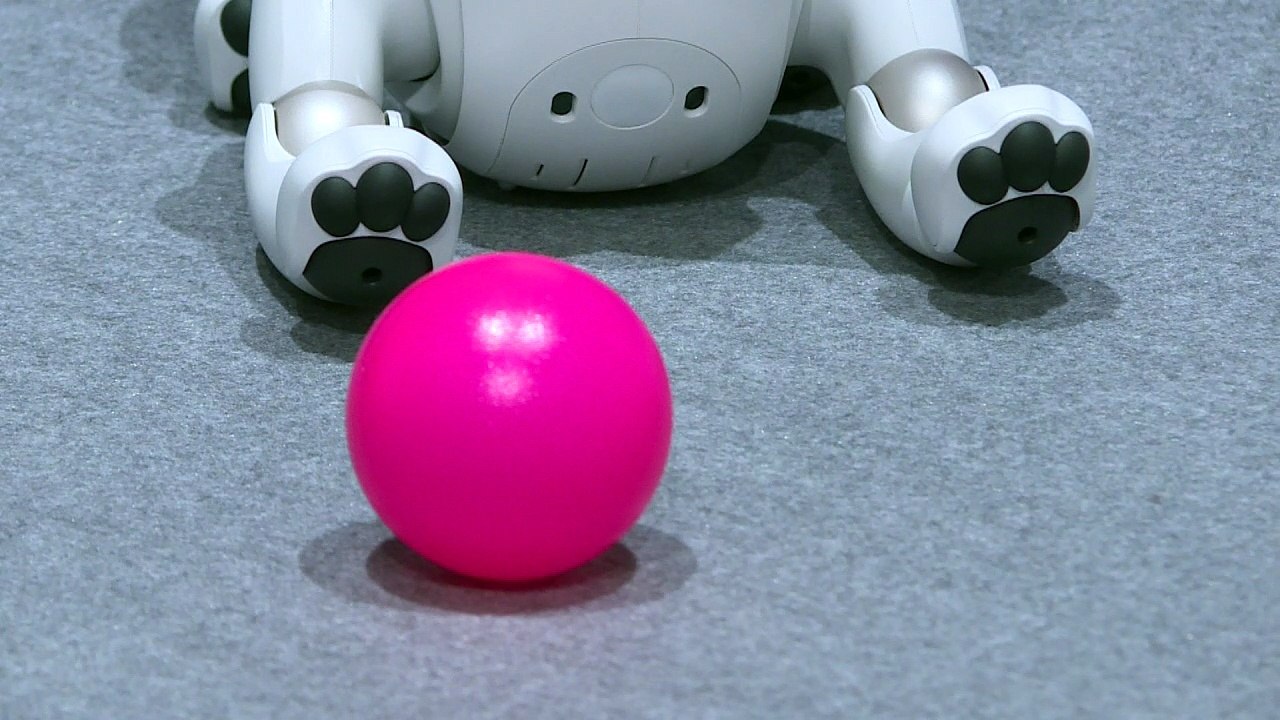 Sony revives robot pet dog