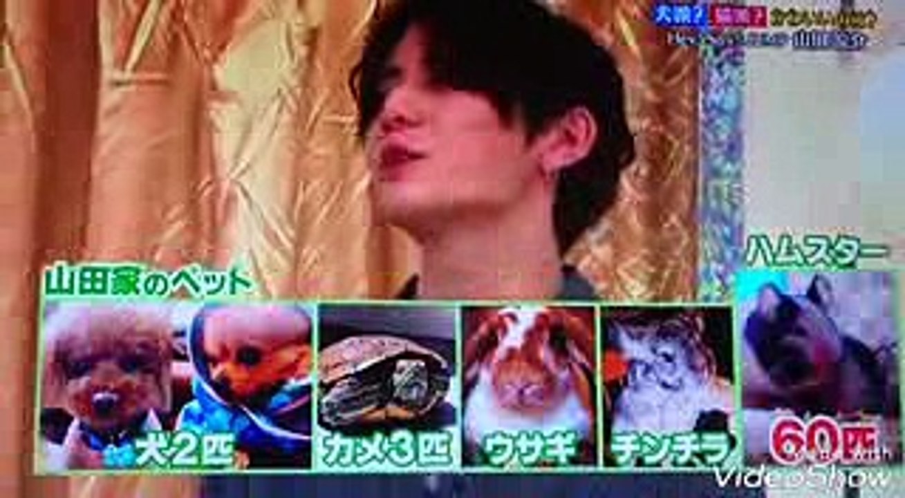 志村どうぶつ園  山田涼介 ～犬派？猫派？相葉と伊ニャーがプレゼン～