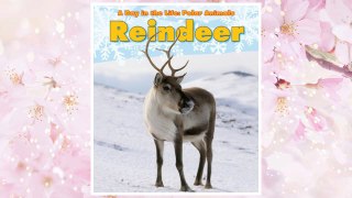 Download PDF Reindeer (A Day in the Life: Polar Animals) FREE