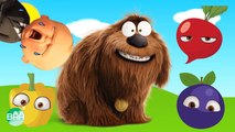 Wrong Colors The Secret Life of Pets - Max, Buddy, Mel, Pepe - Kids Videos for Kids