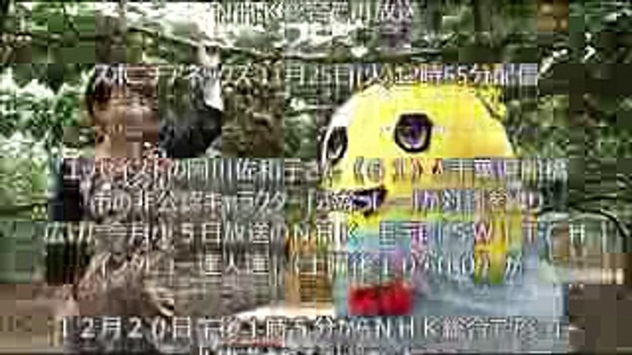 ふなっしーVS阿川佐和子 対談 再放送日時　switchインタ ビュー達人達