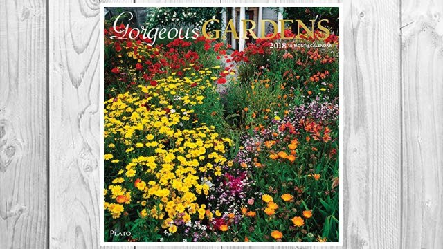 Download PDF Gorgeous Gardens 2018 12 x 12 Inch Monthly Square Wall Calendar with Foil Stamped Cover by Plato, Gardening Outdoor Home Country Nature FREE