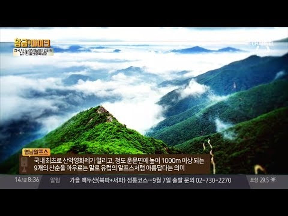 [인터뷰]김기현 울산시장이 추천하는 울산 명소