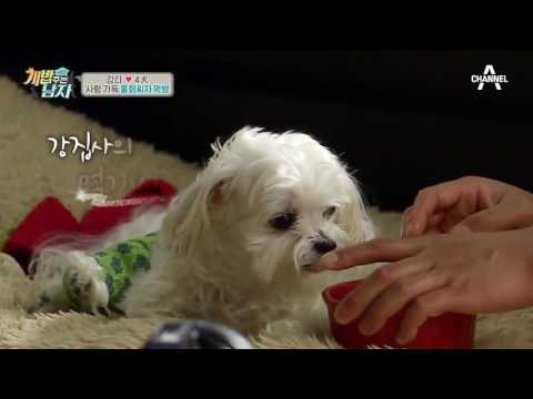 제이만을 위한 홍화씨차! 강타 집사의 달달함이 치사량을 초과했습니다♥