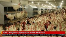 Türk Tavuğunun Japonya'dan Sonra Hedefi Çin