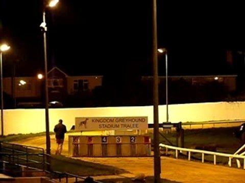 courses de lévriers irlandais