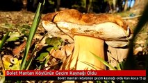 Bolet Mantarı Köylünün Geçim Kaynağı Oldu