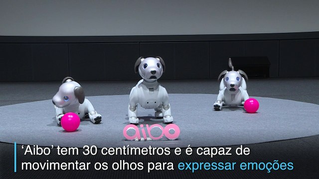Sony apresenta nova versão de seu cão robô