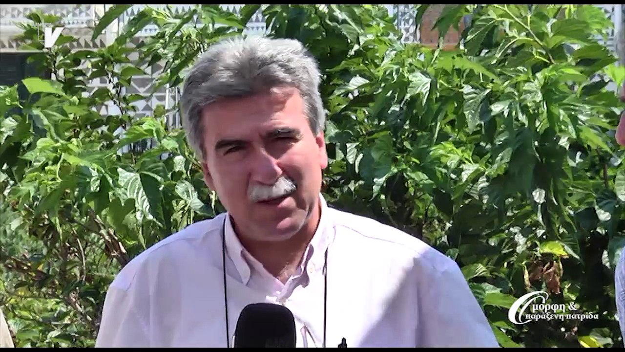 Όμορφη & Παράξενη Πατρίδα_Στην ξυστή πολιτεία του Πυργίου_010717
