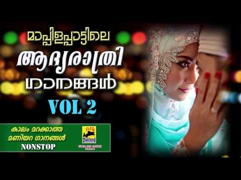 മാപ്പിളപ്പാട്ടിലെ ആദ്യരാത്രി ഗാനങ്ങൾ VOL:2 | Mappila Pattukal Old Is Gold | Malayalam Mappila Songs