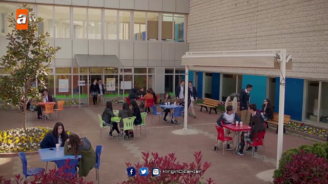 Kırgın Çiçekler 42.Bölüm - Güney, eski sevgilisinden özür diliyor!