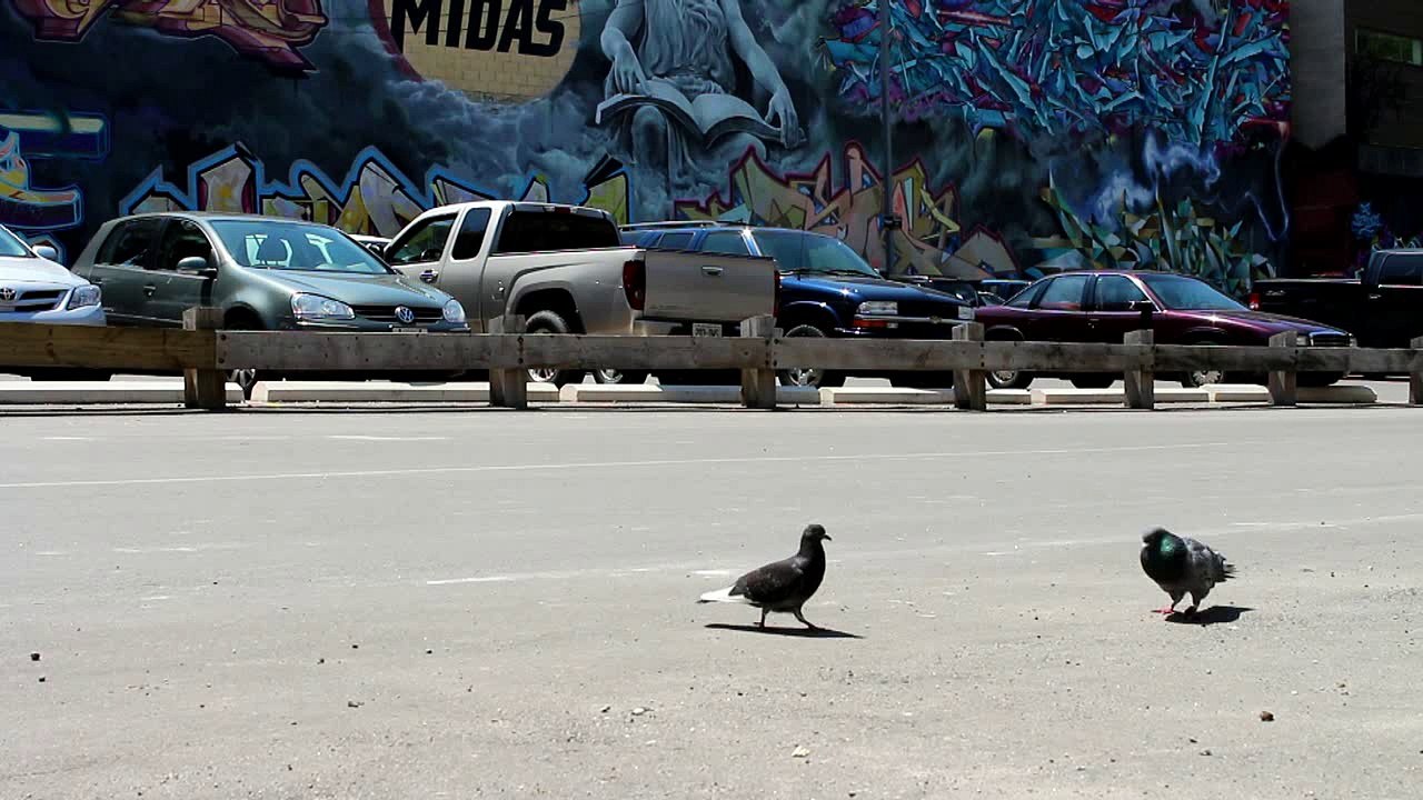 Sony reboots Aibo with AI and extra kawaii